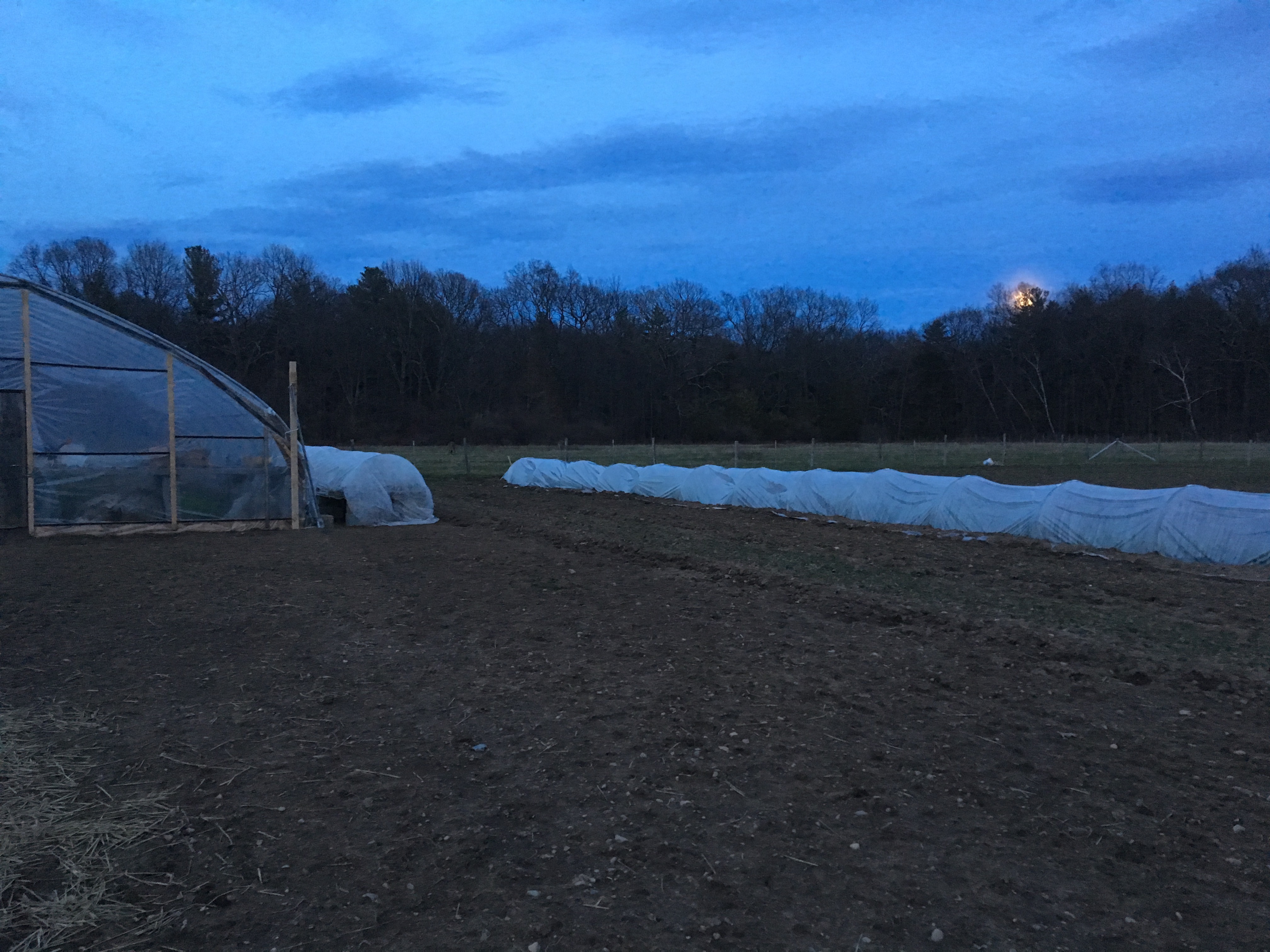 April Rise Farm Photo Calendar – Twelve Moon Farm